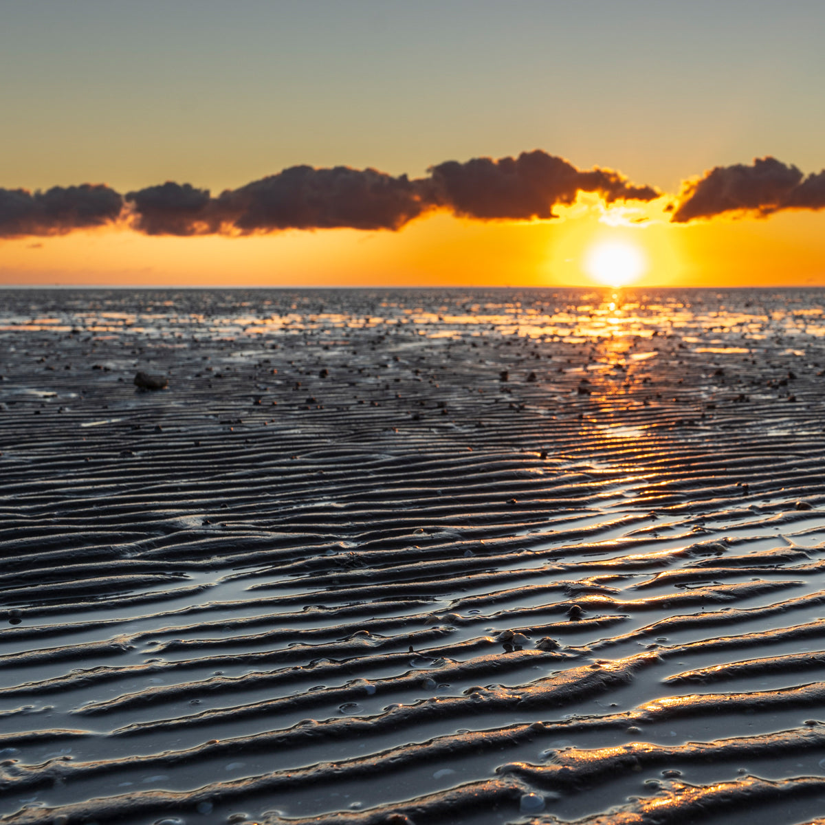Sonnenuntergang über dem Wattenmeer
